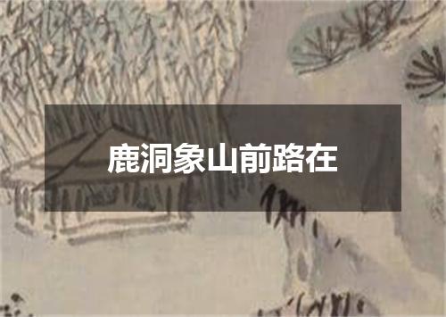 鹿洞象山前路在
