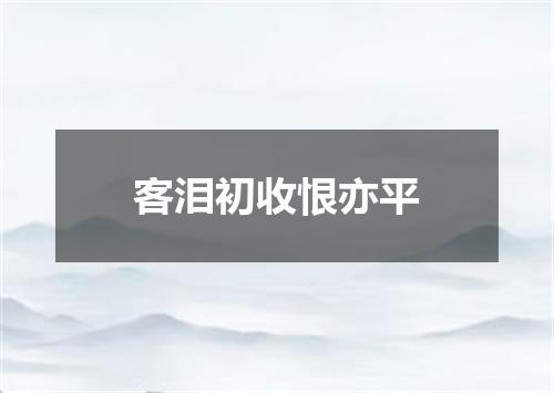 客泪初收恨亦平