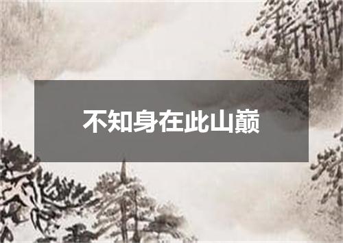 不知身在此山巅