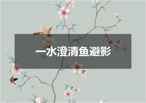 一水澄清鱼避影