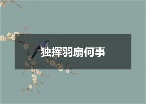 独挥羽扇何事