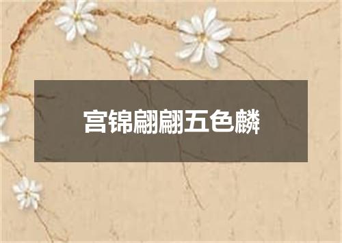 宫锦翩翩五色麟