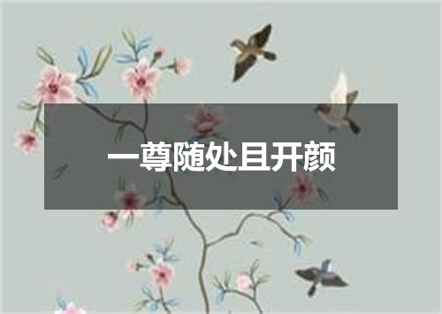 一尊随处且开颜