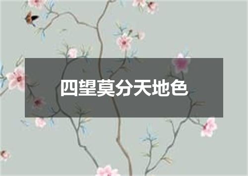 四望莫分天地色