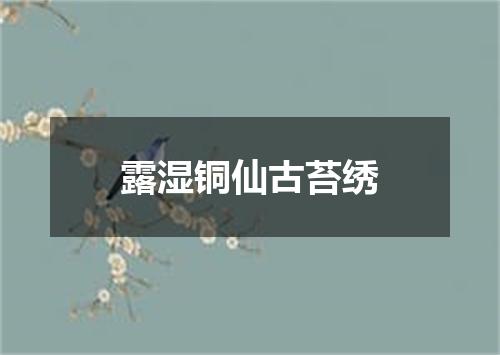 露湿铜仙古苔绣