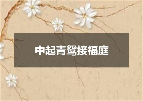 中起青鸳接福庭