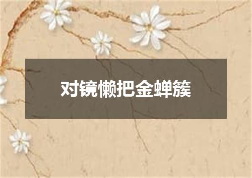 对镜懒把金蝉簇