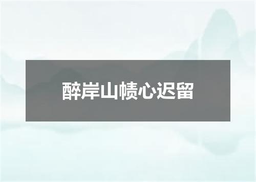 醉岸山帻心迟留