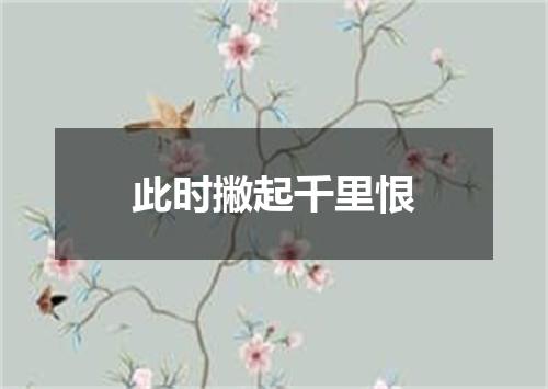 此时撇起千里恨