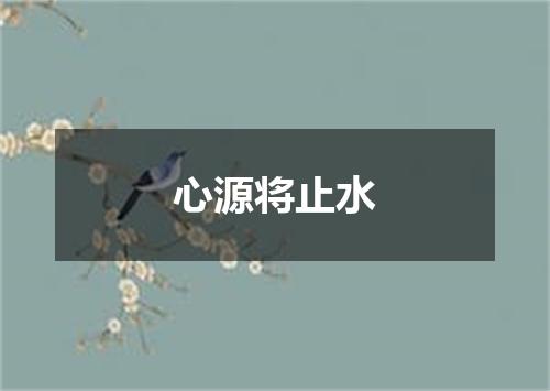 心源将止水