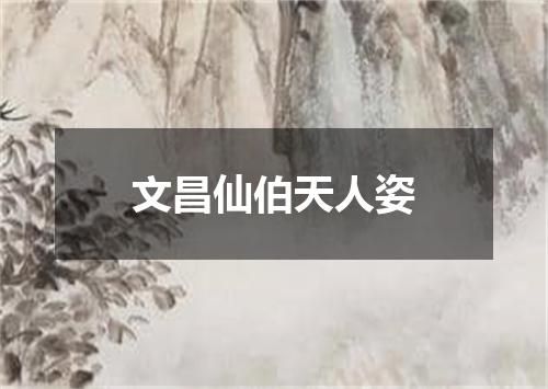 文昌仙伯天人姿
