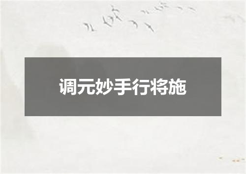 调元妙手行将施