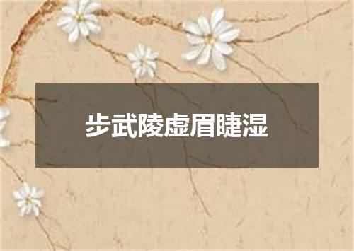 步武陵虚眉睫湿