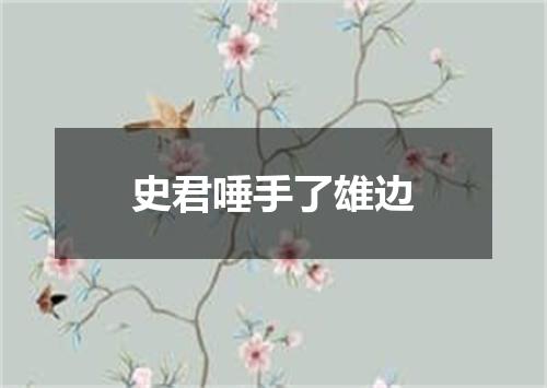 史君唾手了雄边