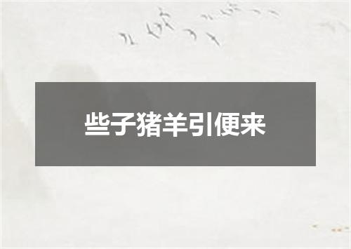 些子猪羊引便来