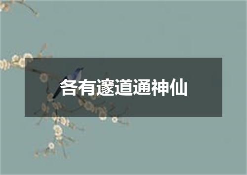 各有邃道通神仙