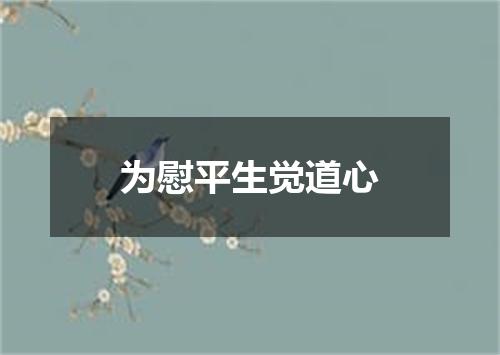 为慰平生觉道心