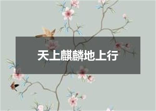 天上麒麟地上行