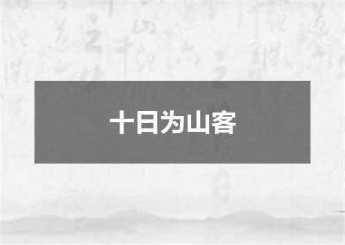 十日为山客