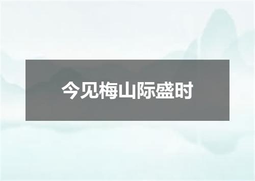 今见梅山际盛时