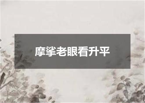 摩挲老眼看升平