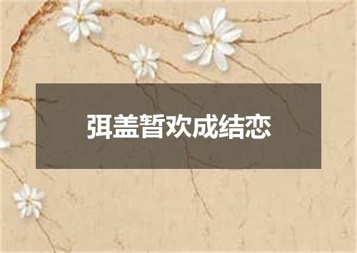 弭盖暂欢成结恋