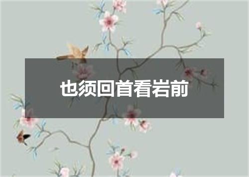 也须回首看岩前