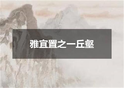 雅宜置之一丘壑