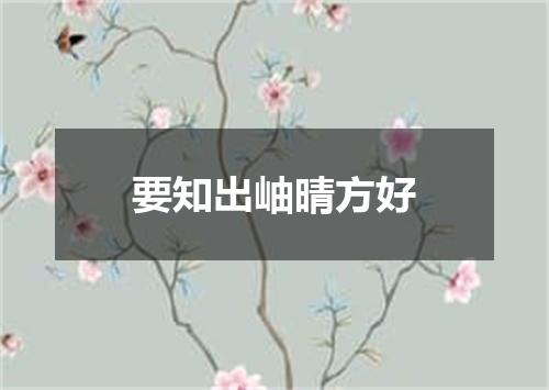 要知出岫晴方好