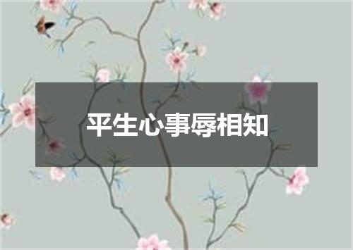 平生心事辱相知
