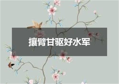 攘臂甘驱好水军