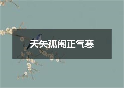 天矢孤闱正气寒
