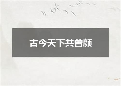 古今天下共曾颜