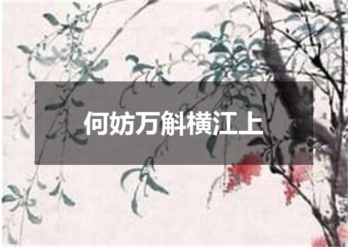 何妨万斛横江上