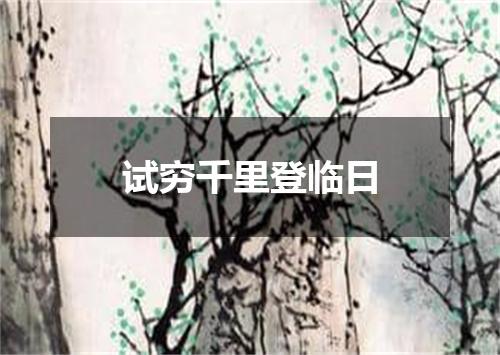 试穷千里登临日
