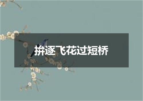 拚逐飞花过短桥