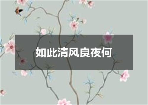 如此清风良夜何