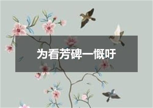 为看芳碑一慨吁