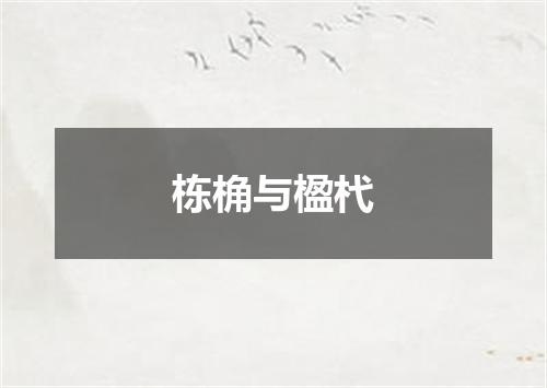 栋桷与楹杙