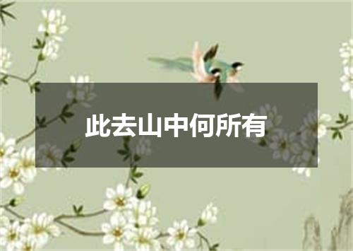 此去山中何所有