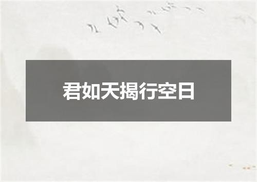 君如天揭行空日