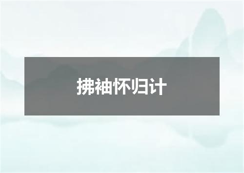 拂袖怀归计