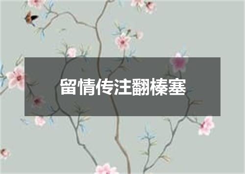 留情传注翻榛塞