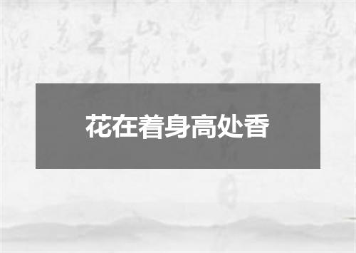 花在着身高处香