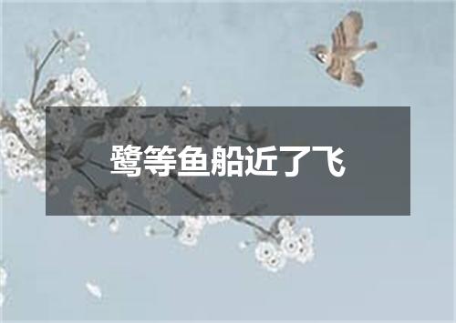 鹭等鱼船近了飞