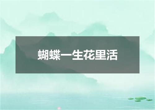 蝴蝶一生花里活