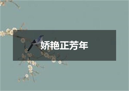 娇艳正芳年