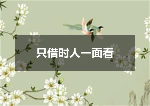 只借时人一面看