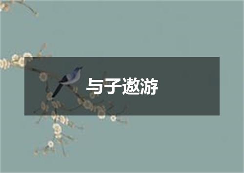 与子遨游