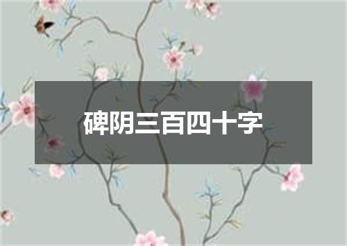 碑阴三百四十字